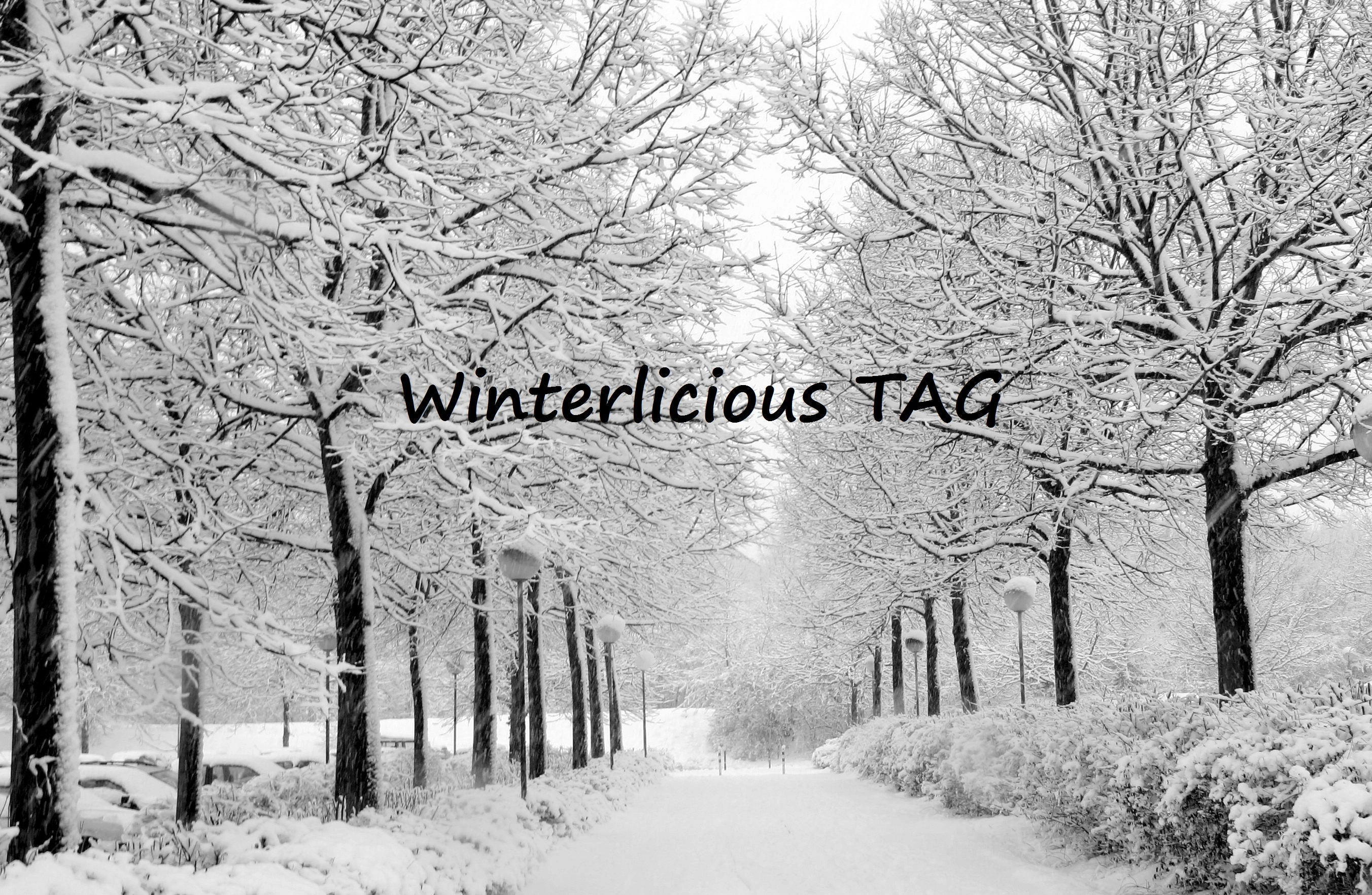 winterlicious-tag-2